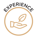 Experience
